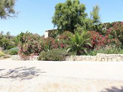 183 D33 ILE DE BENDOR_000058